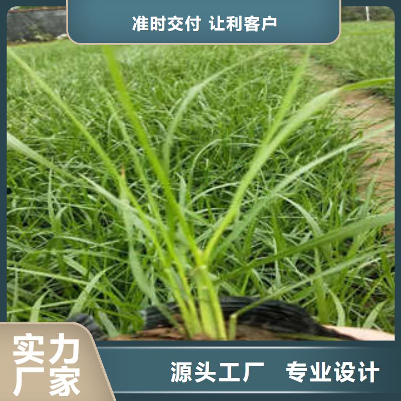 11-11畅销本地厂家