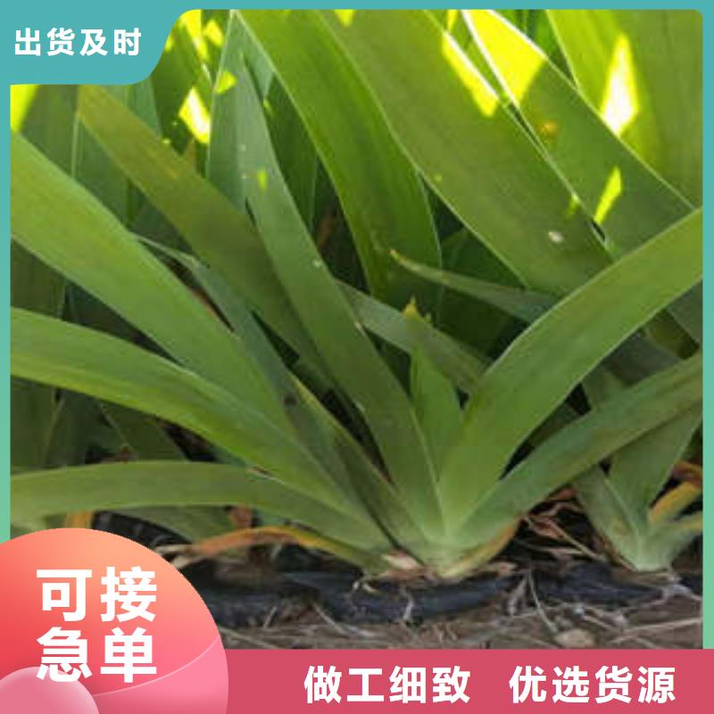 批发11的公司