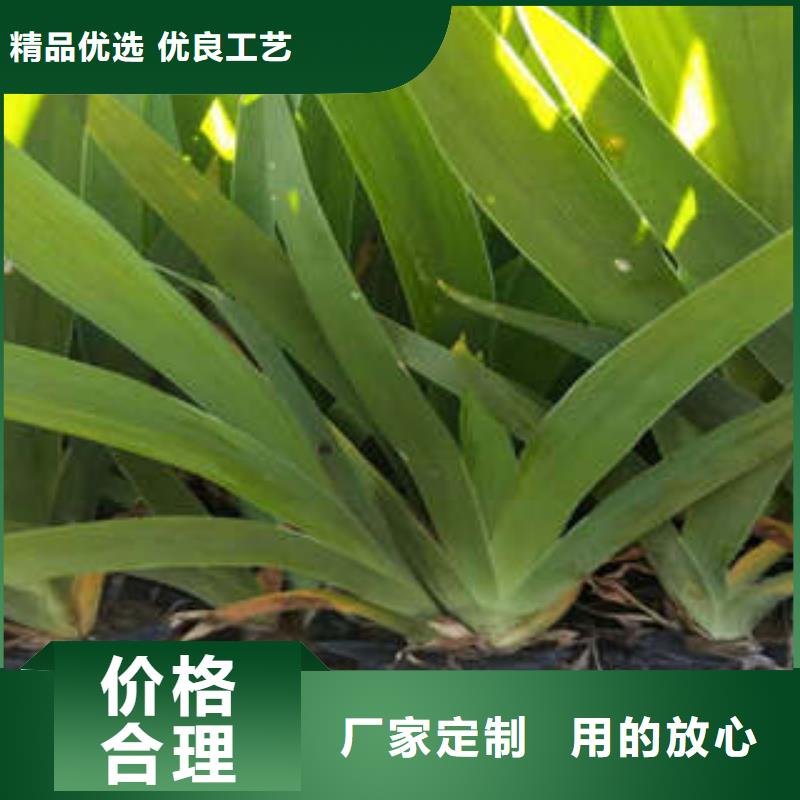 11_厂家直销_价格优惠批发商