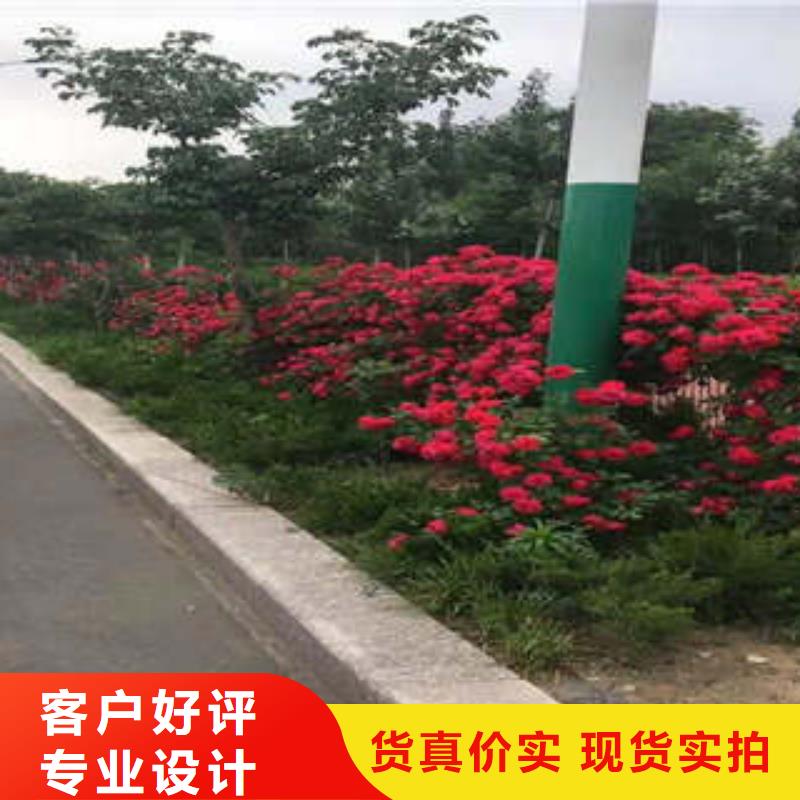 11厂家批发质检严格