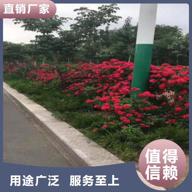 定制11的厂家厂家直发
