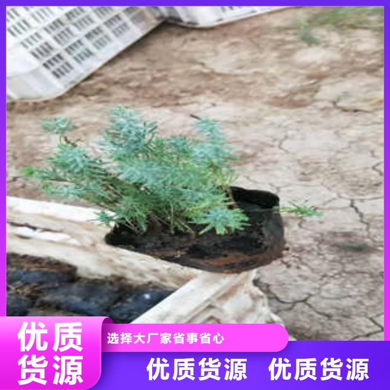 质量合格的11生产厂家专注生产制造多年