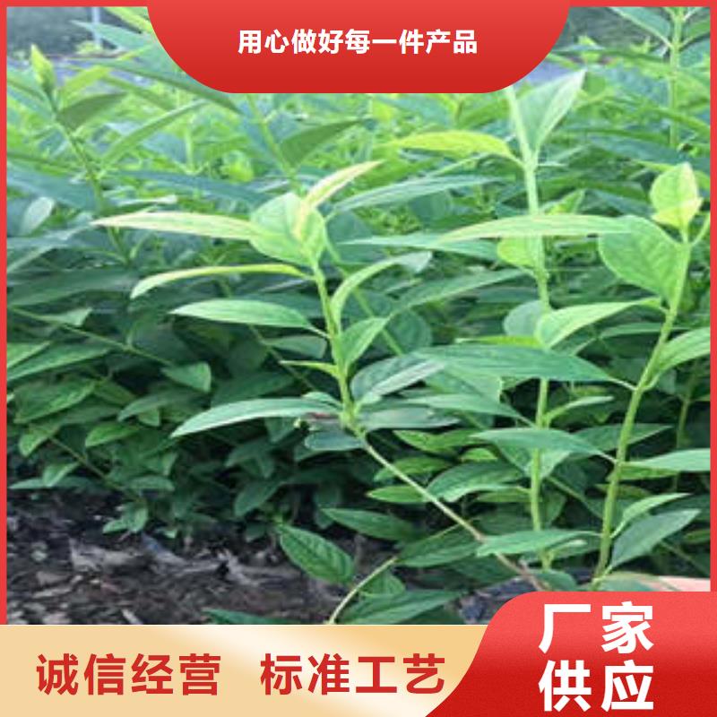 发货速度快的11基地同城品牌