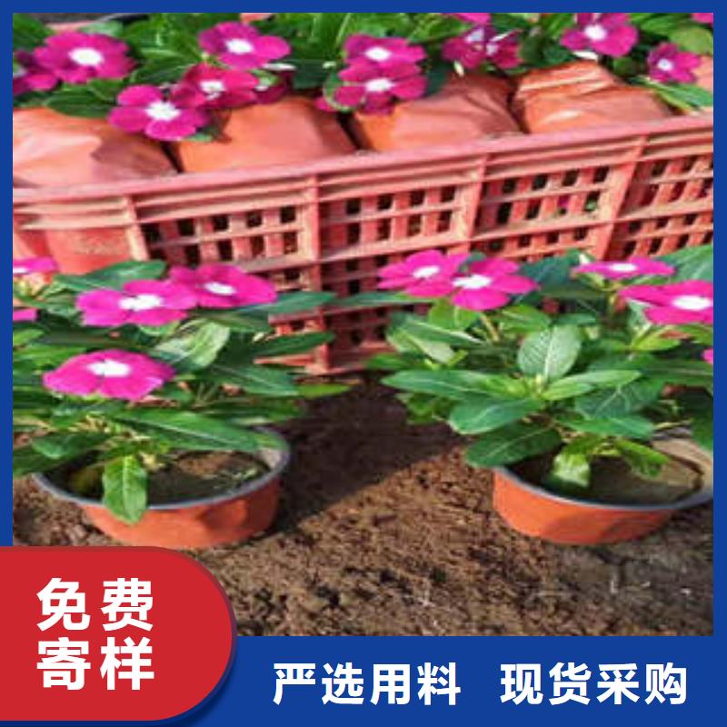 11_我们是厂家精选货源