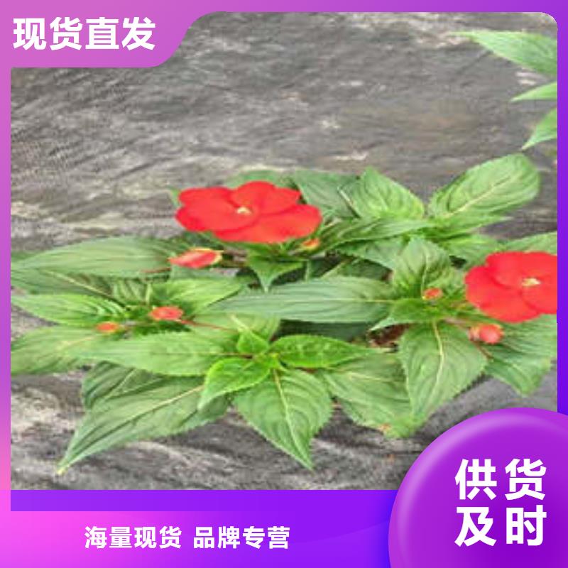 11公司_沁雪园林景观有限公司