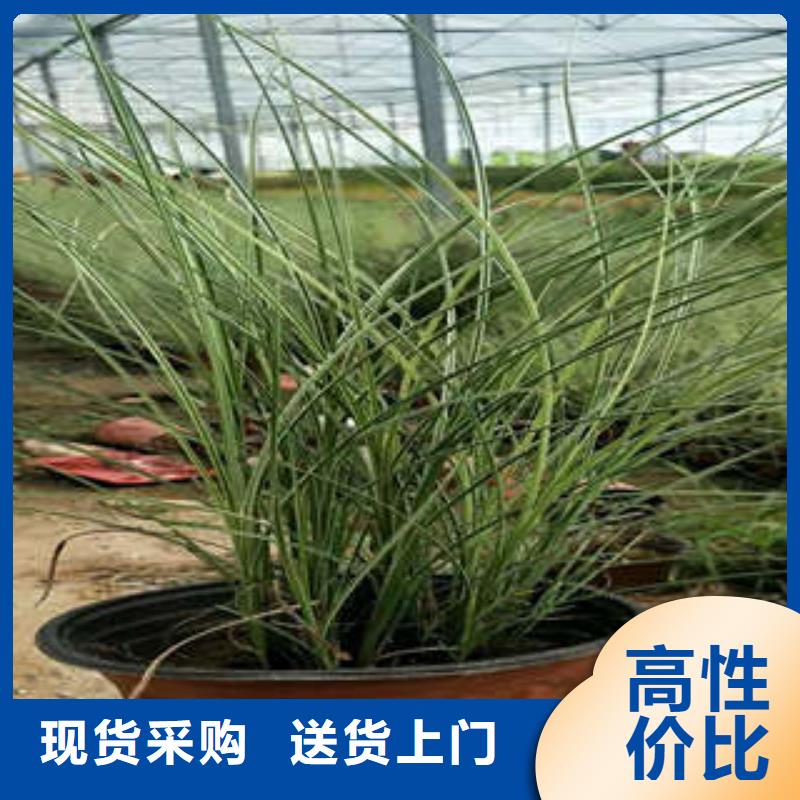 11企业-大厂直销当地公司
