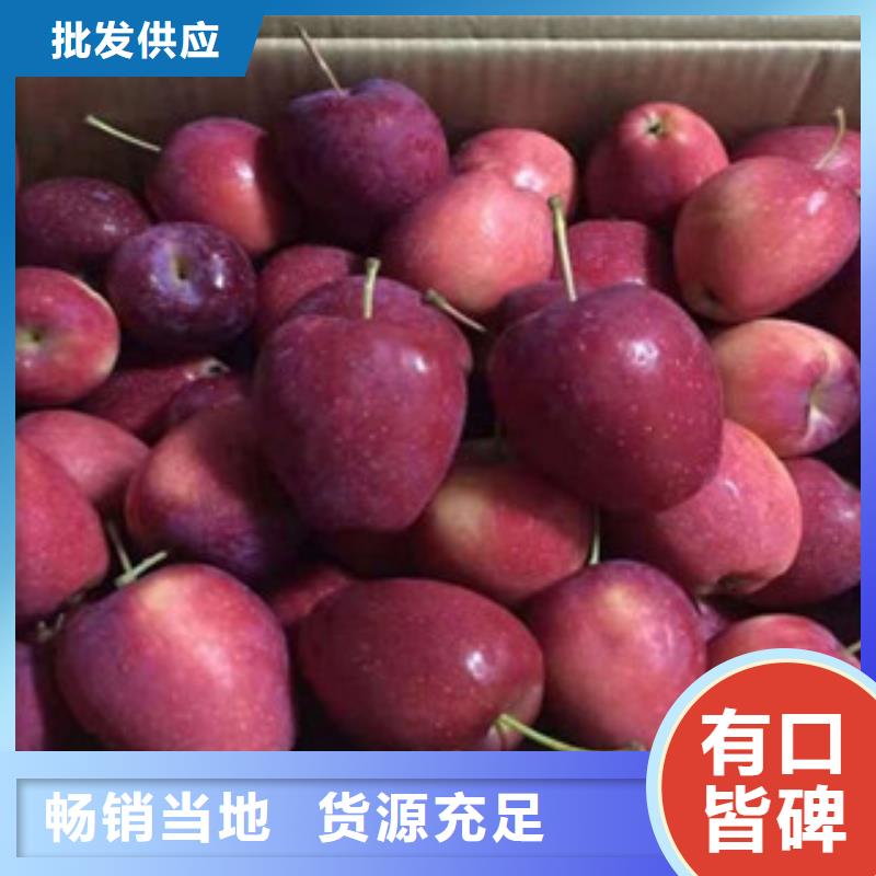 苹果苗-用心做产品