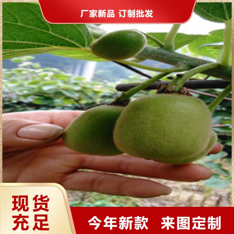 猕猴桃品牌企业支持定制批发