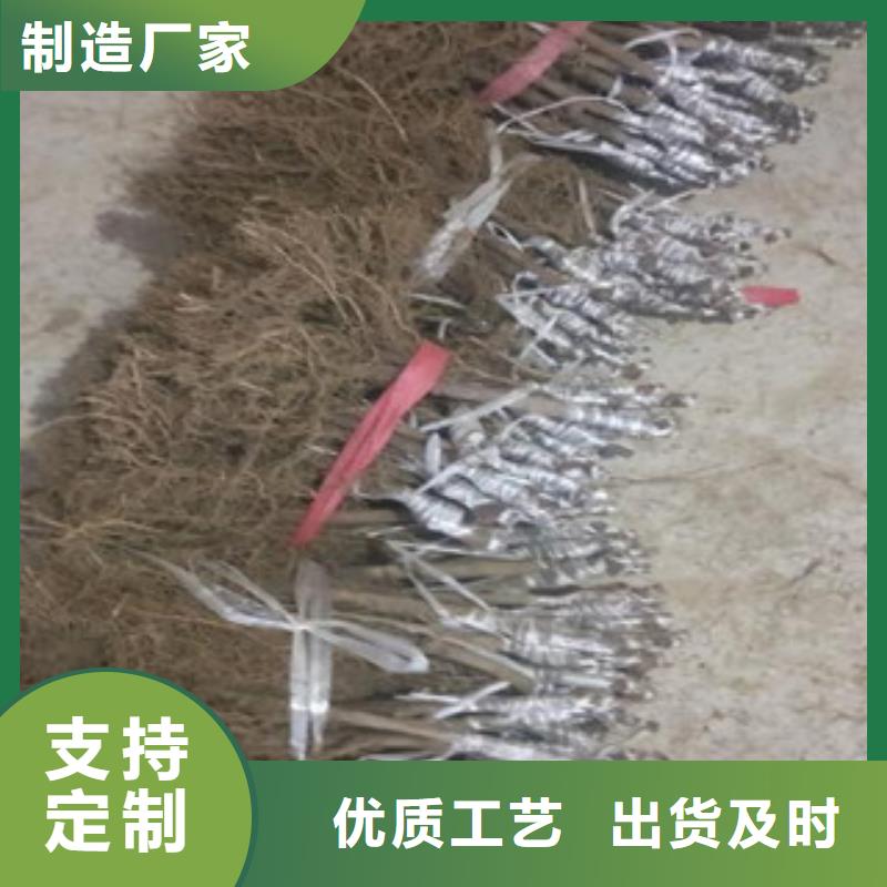 猕猴桃厂家，规格全