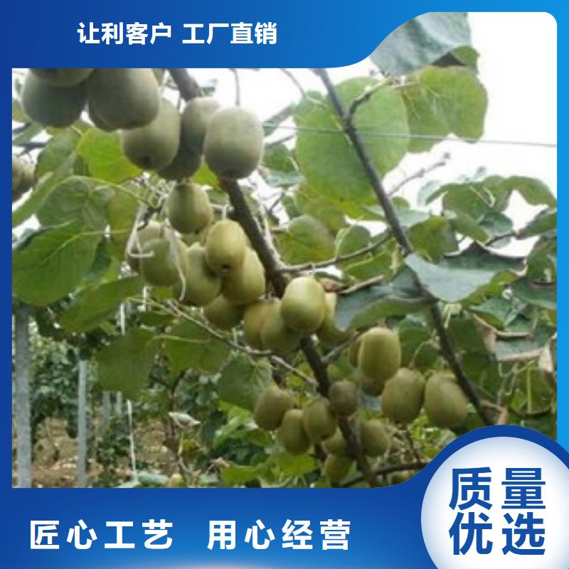 猕猴桃老客户回购较多