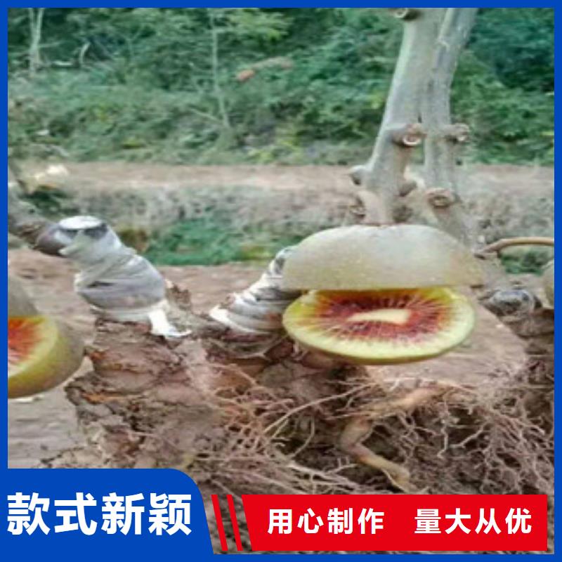 【图】猕猴桃价格