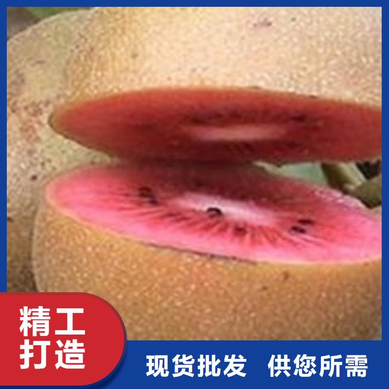 猕猴桃品质甄选