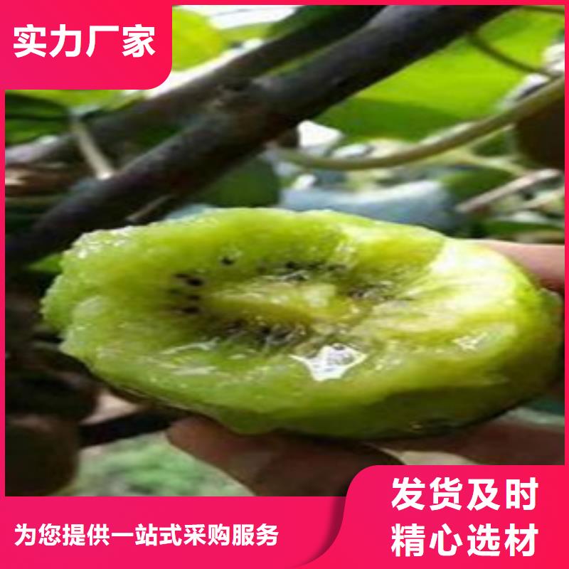 猕猴桃-放心可靠