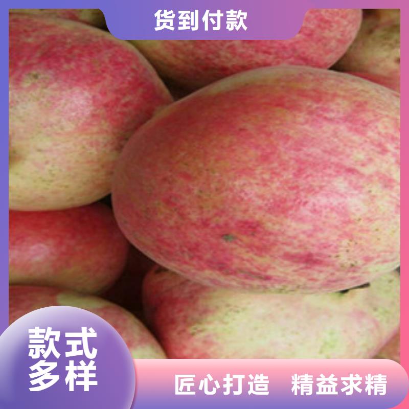 石榴苗诚信经营厂家