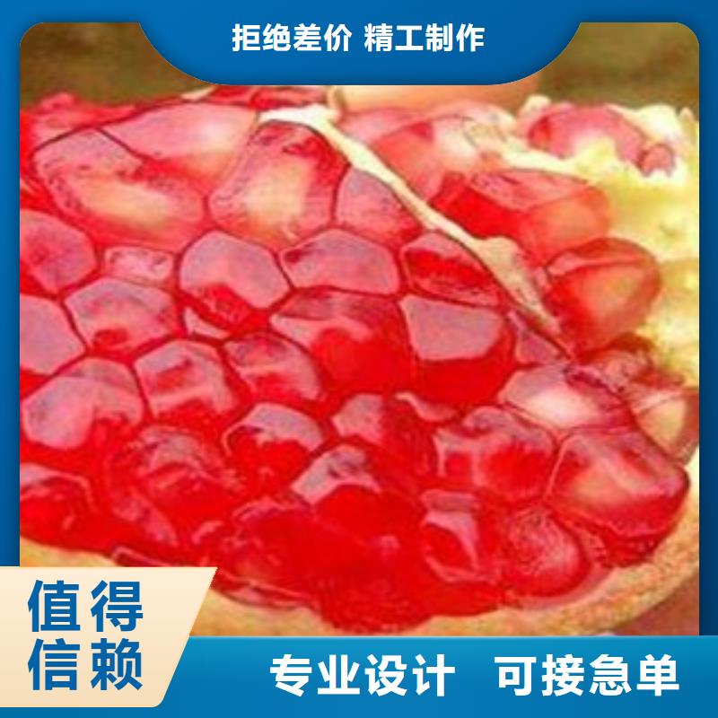 石榴苗厂家直销-全国发货