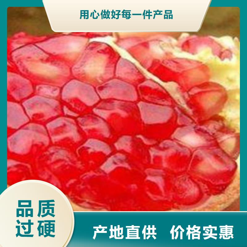 石榴苗品牌