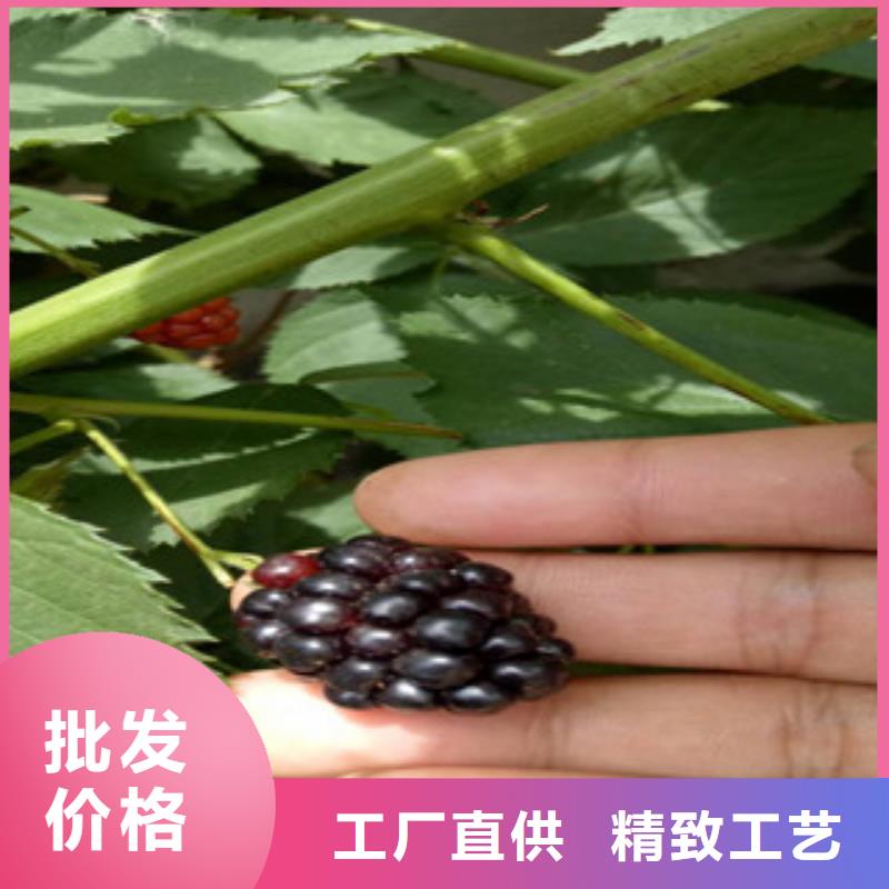 树莓苗用途分析