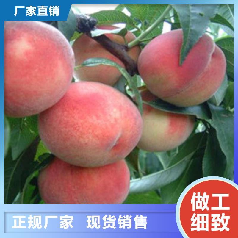 桃苗来图定制工厂自营