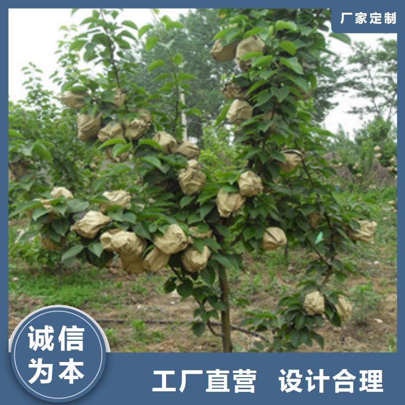 梨樹苗優質源頭廠家來電咨詢