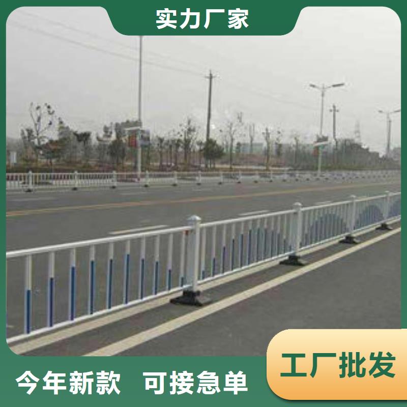 专业销售道路护栏-口碑好