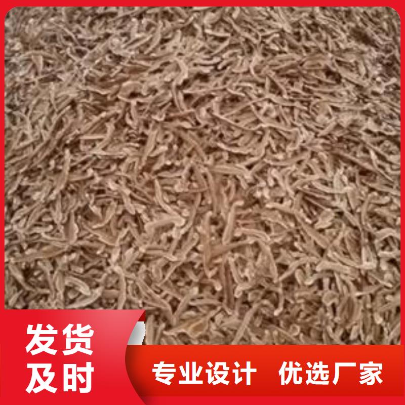 灵芝粉-批发价格-优质货源