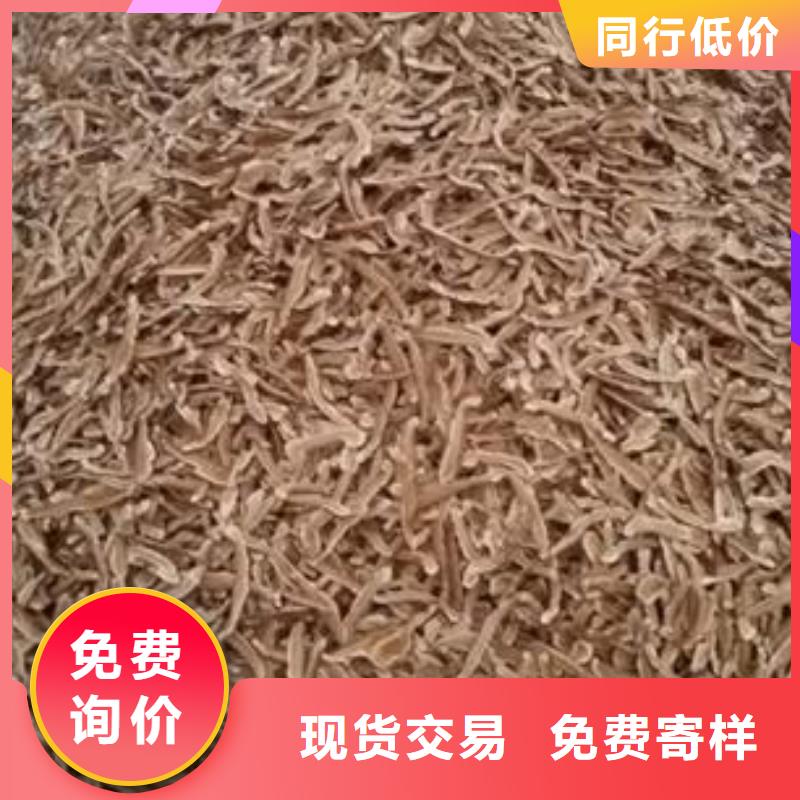 灵芝粉厂家图片
