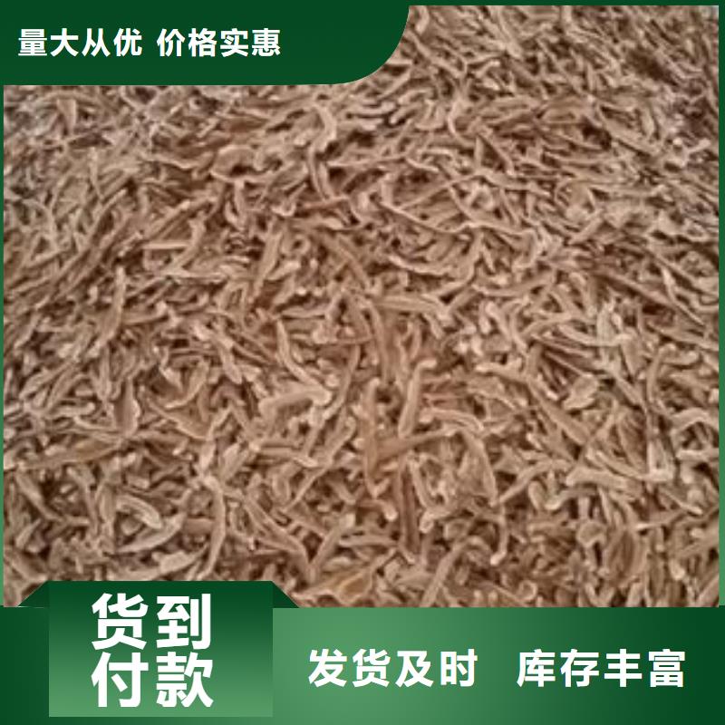 灵芝粉销往全国