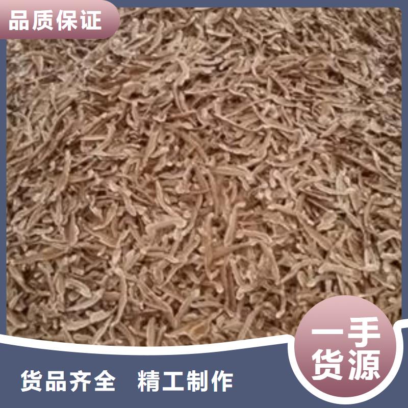 灵芝粉大厂家选的放心