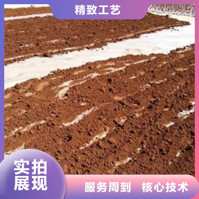 灵芝粉1-热线开通中0中间商差价