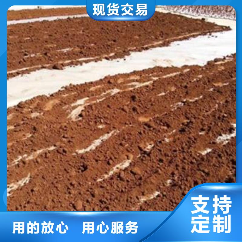 规格齐全的灵芝粉销售厂家订购