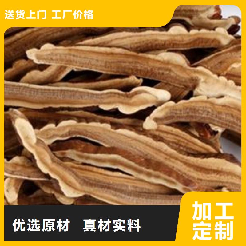 灵芝粉以诚为本欢迎咨询