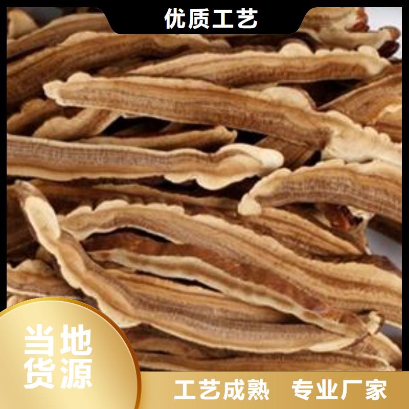 灵芝粉1让利销售厂家精选