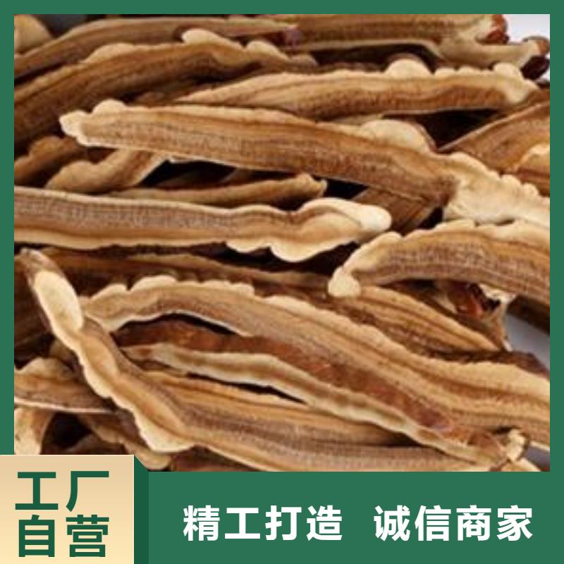 灵芝粉参数详情