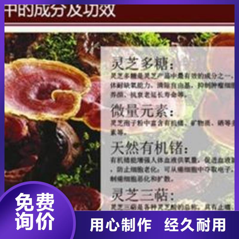 灵芝粉1品质上乘定制销售售后为一体
