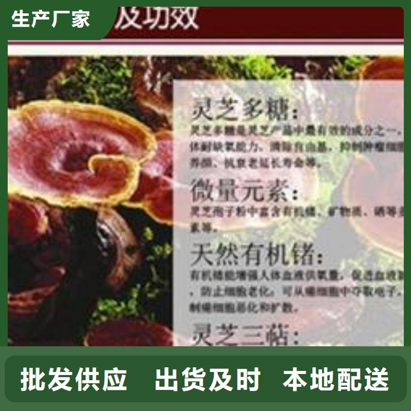 灵芝粉-批发价格-优质货源