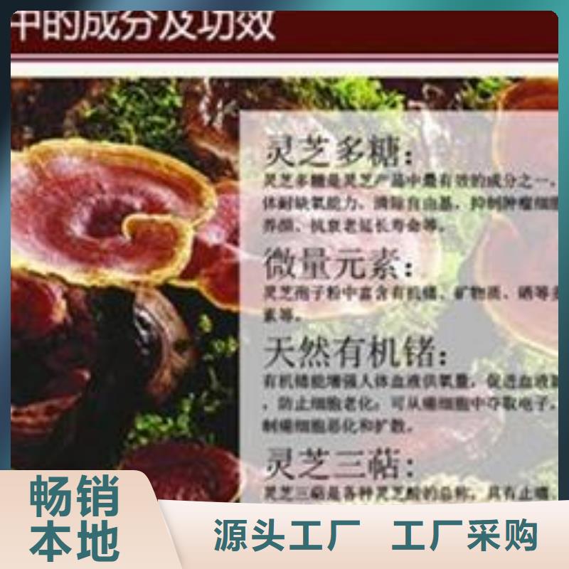 灵芝粉1-灵芝粉1欢迎选购有口皆碑