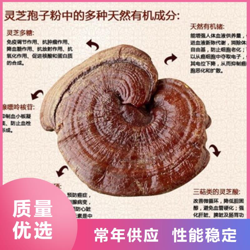 灵芝粉1-送货上门工厂现货供应