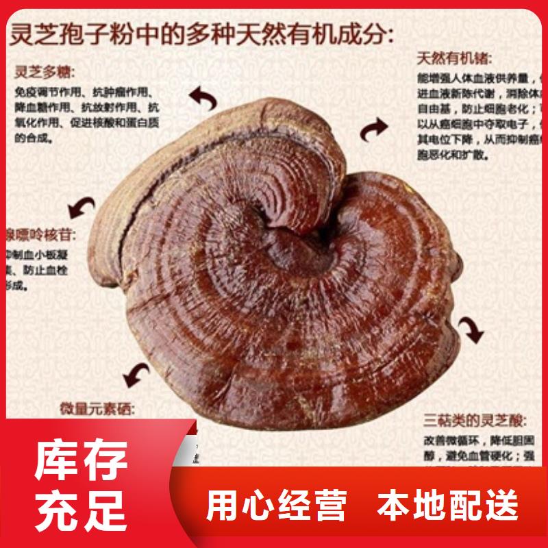 灵芝粉图文介绍优选厂商