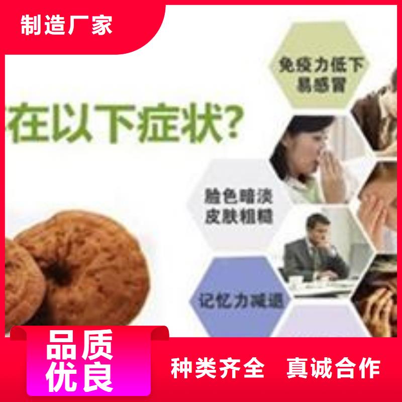供应批发灵芝粉-优质