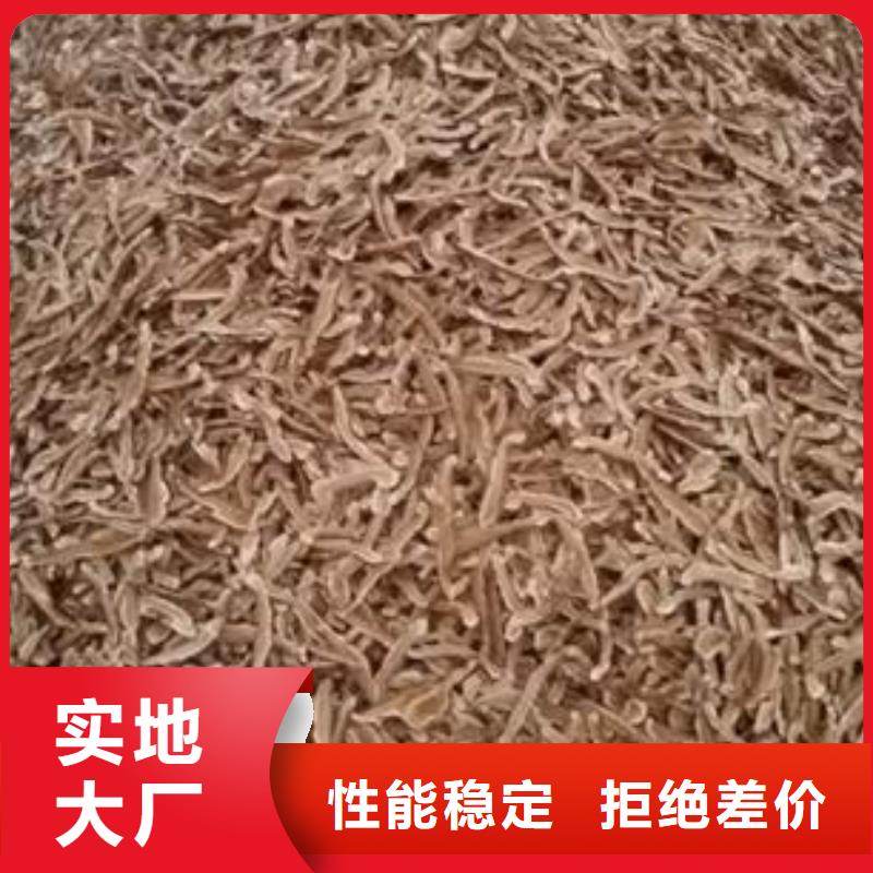 优质灵芝粉2厂家本地生产商