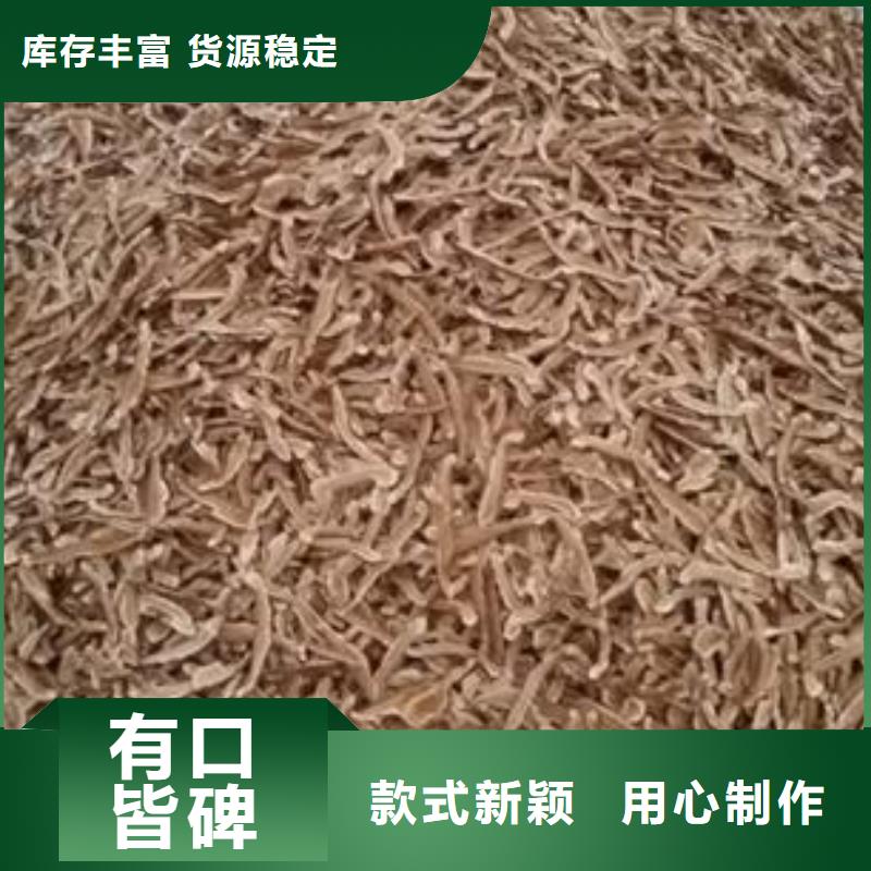 灵芝粉当天发货