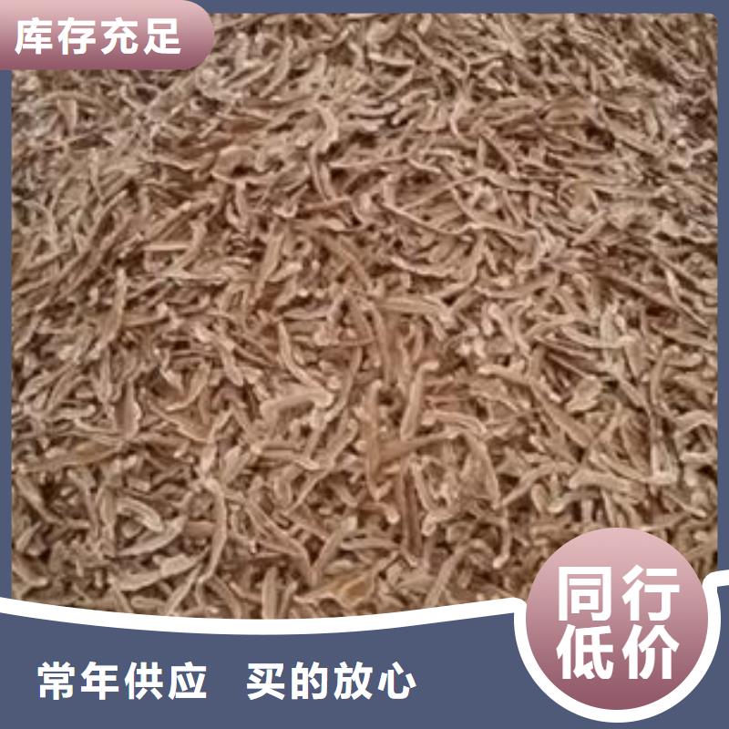 质量可靠的灵芝粉2销售厂家超产品在细节