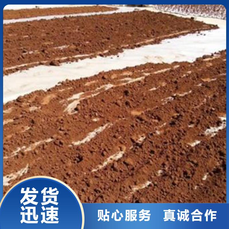 灵芝粉2行情报价支持非标定制