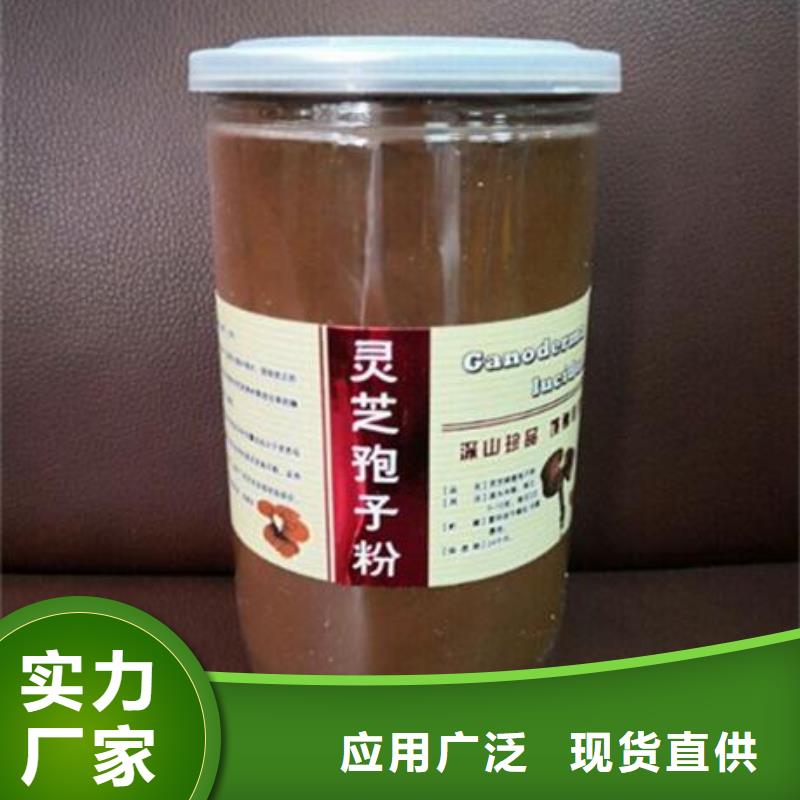 优选：灵芝粉供货商