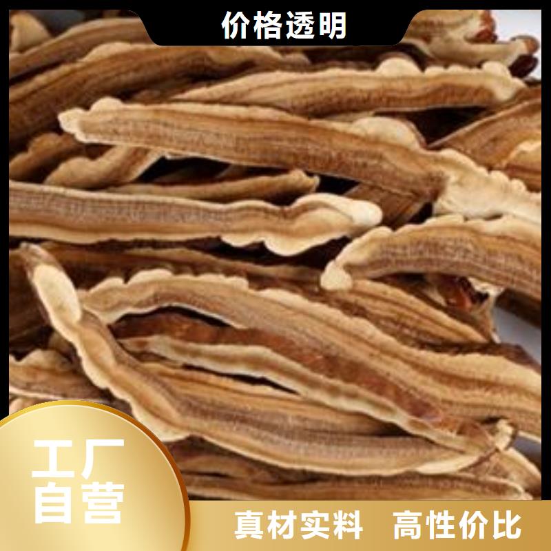 灵芝粉2购买注意事项