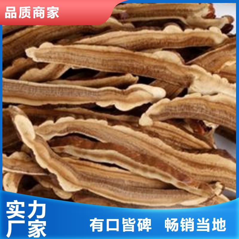 灵芝粉_省心省钱
