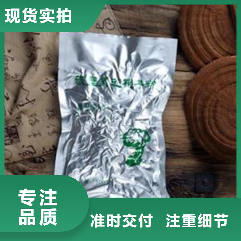 批发灵芝粉的公司