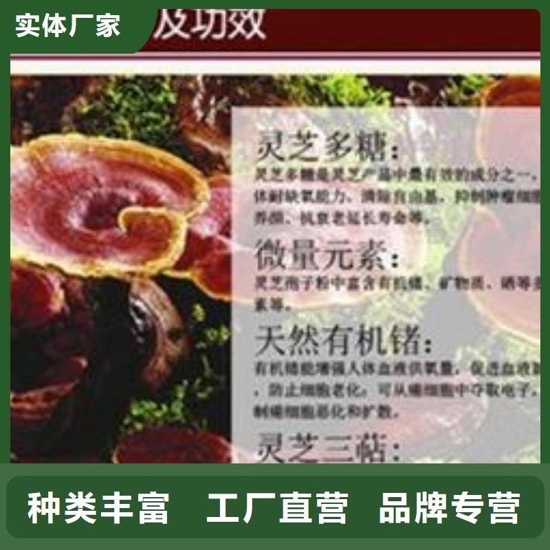 优选：灵芝粉2产品优良