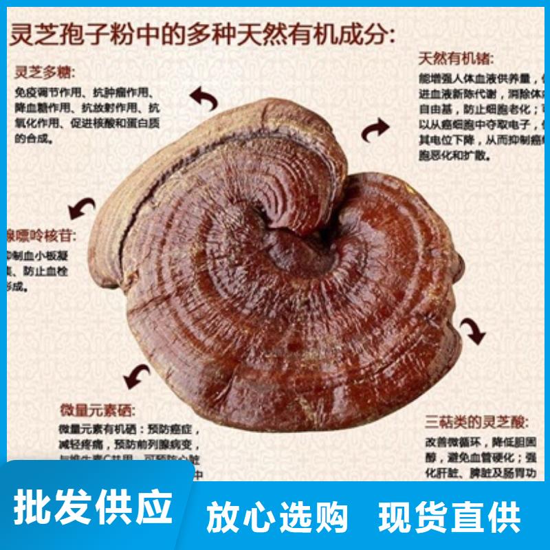 灵芝粉大品牌值得信赖