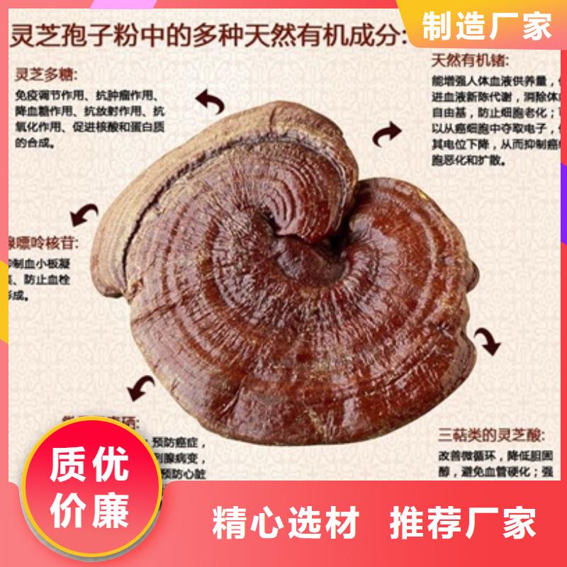灵芝粉2好品质查看详情支持非标定制